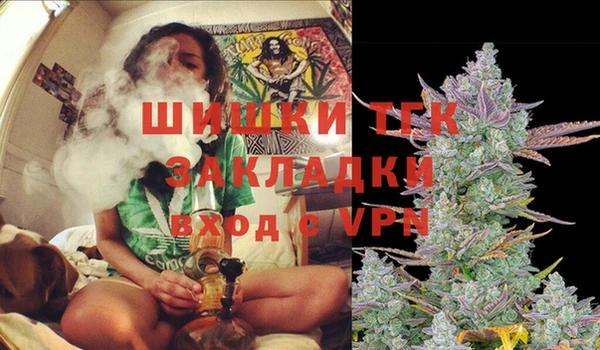 молекула духа Алексин