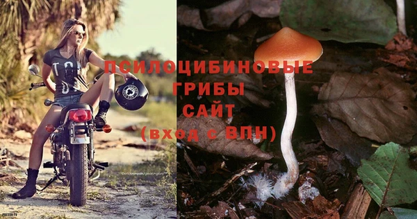 герыч Протвино